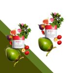 Clarins My Re-Boost Comforting Hydrating Cream 50 x 50 ml 2li