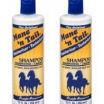 Mane'n Tail For Shiny Şampuan 355 mlx2 Adet